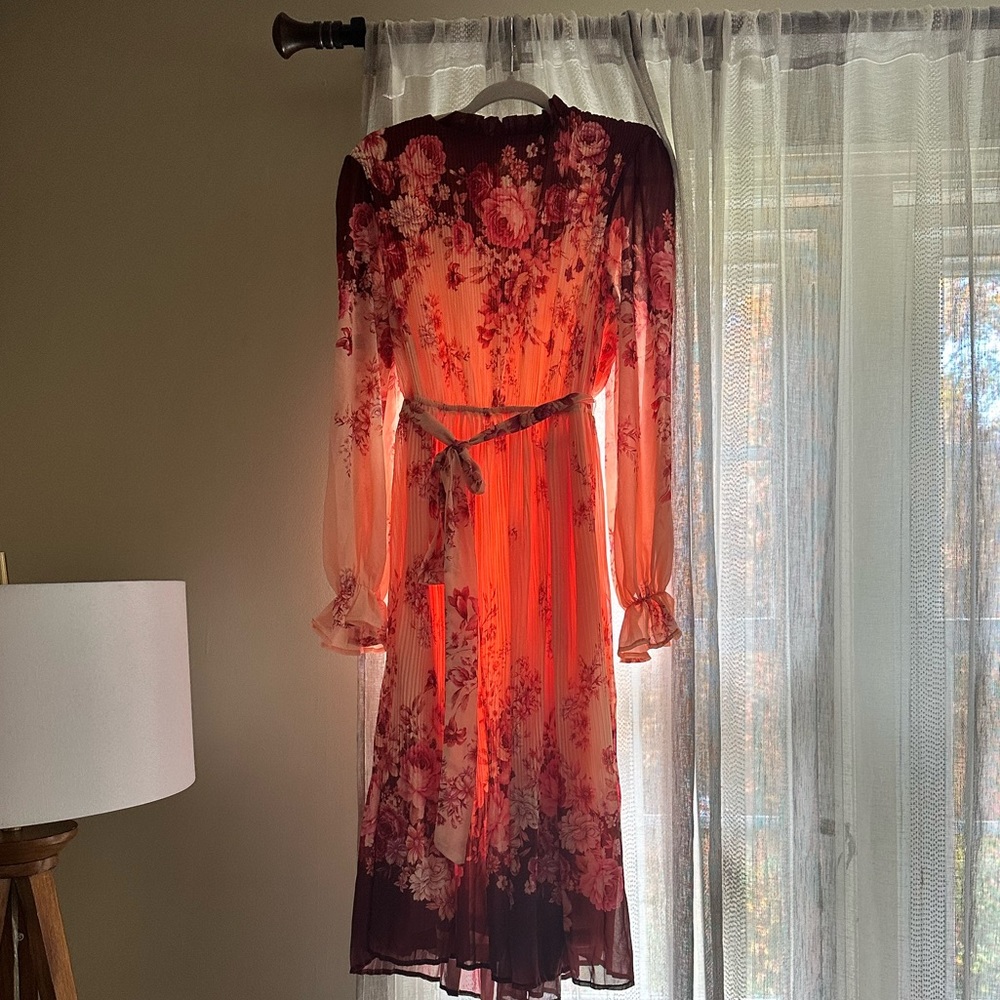 L flying tomatoes dress purchases from VICI. Never worn- new with tags. - Picture 2 of 6